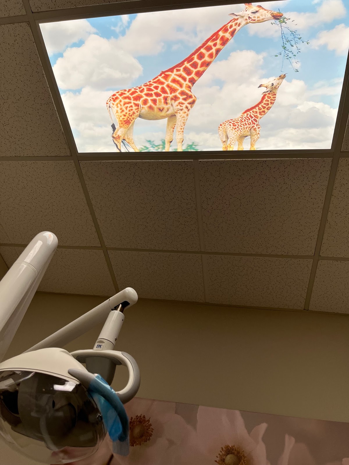 Fresh Smiles Family & Cosmetic Dentistry photo 4