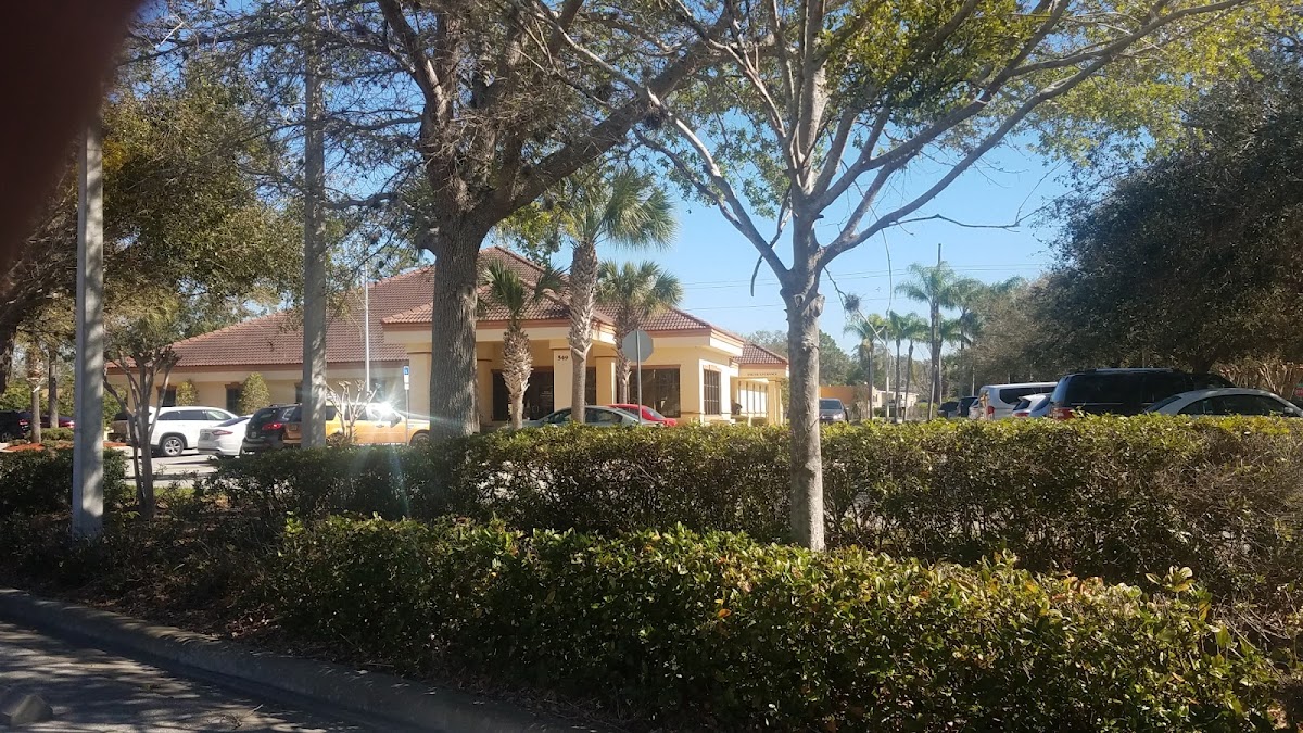 Florida Oral & Facial Surgical Associates photo 4