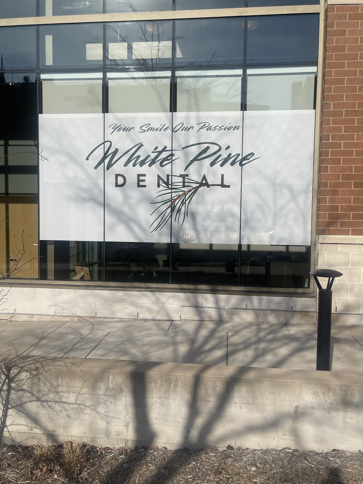 White Pine Dental photo 6