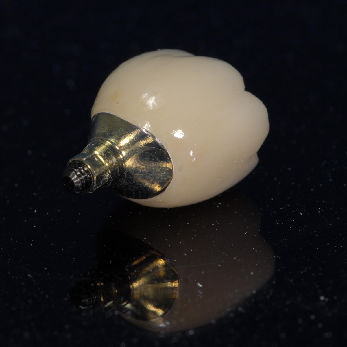 Wiand Dental Lab photo 4