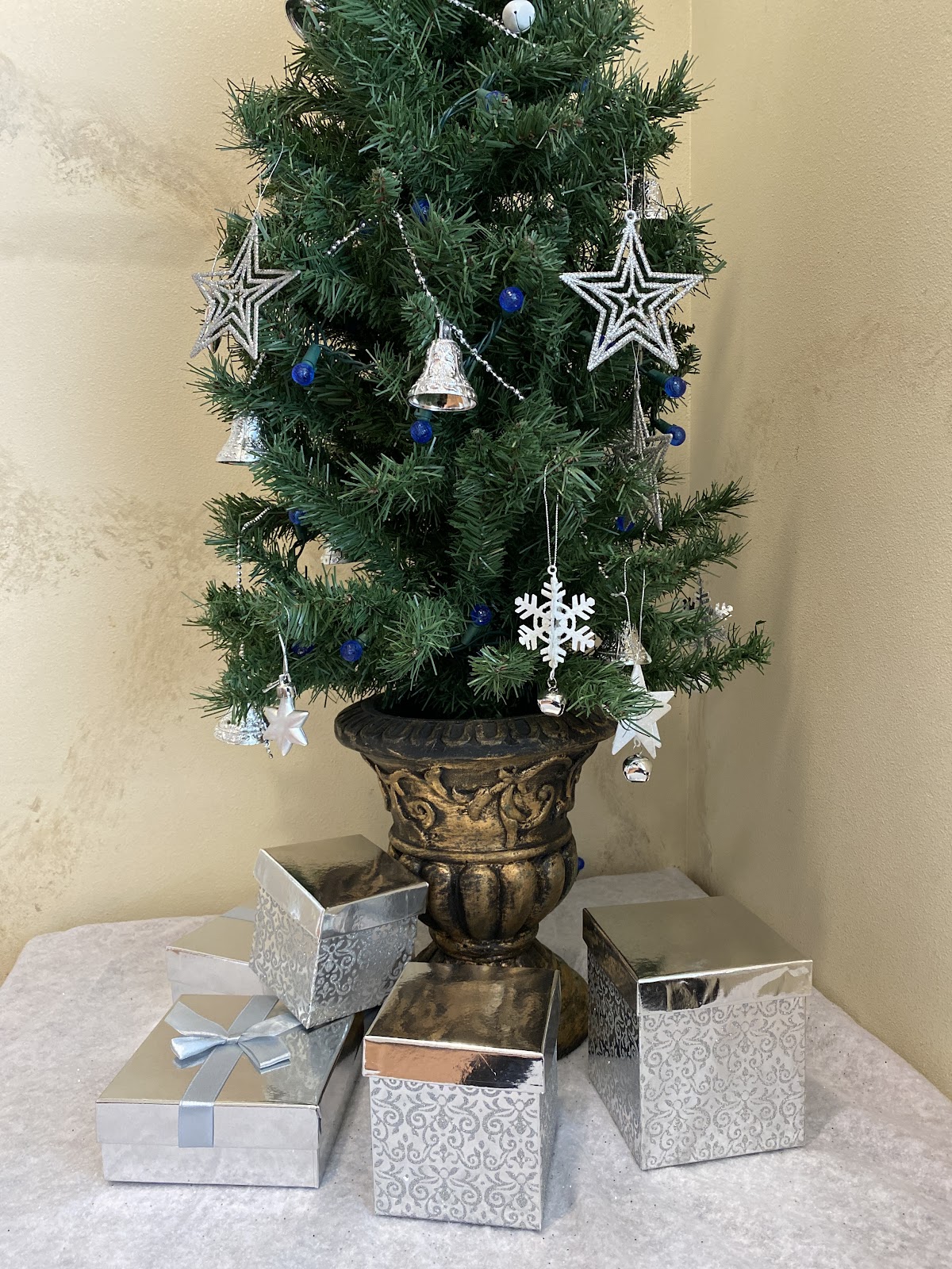 Santa Barbara Family Dentistry photo 6
