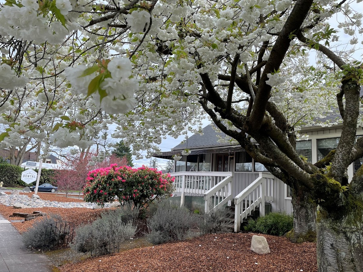 West Vancouver Dental photo 1