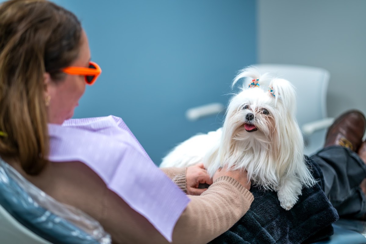 Kari Mann Dental Studio: Advanced Dental Implants, Family & Cosmetic Dentistry photo 2