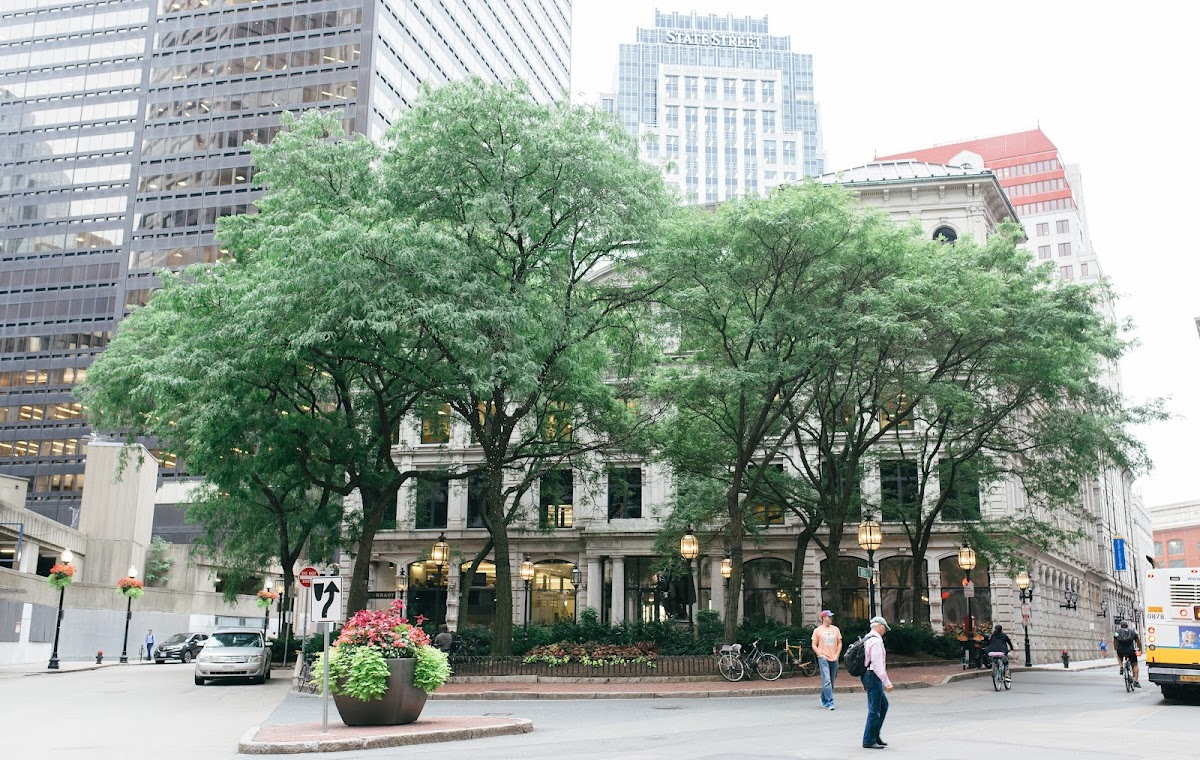 Devonshire Dental of Boston photo 2