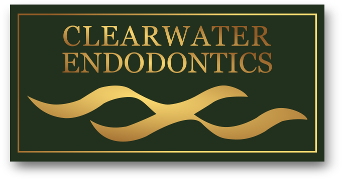 Clearwater Endodontics - Clarkston photo 3