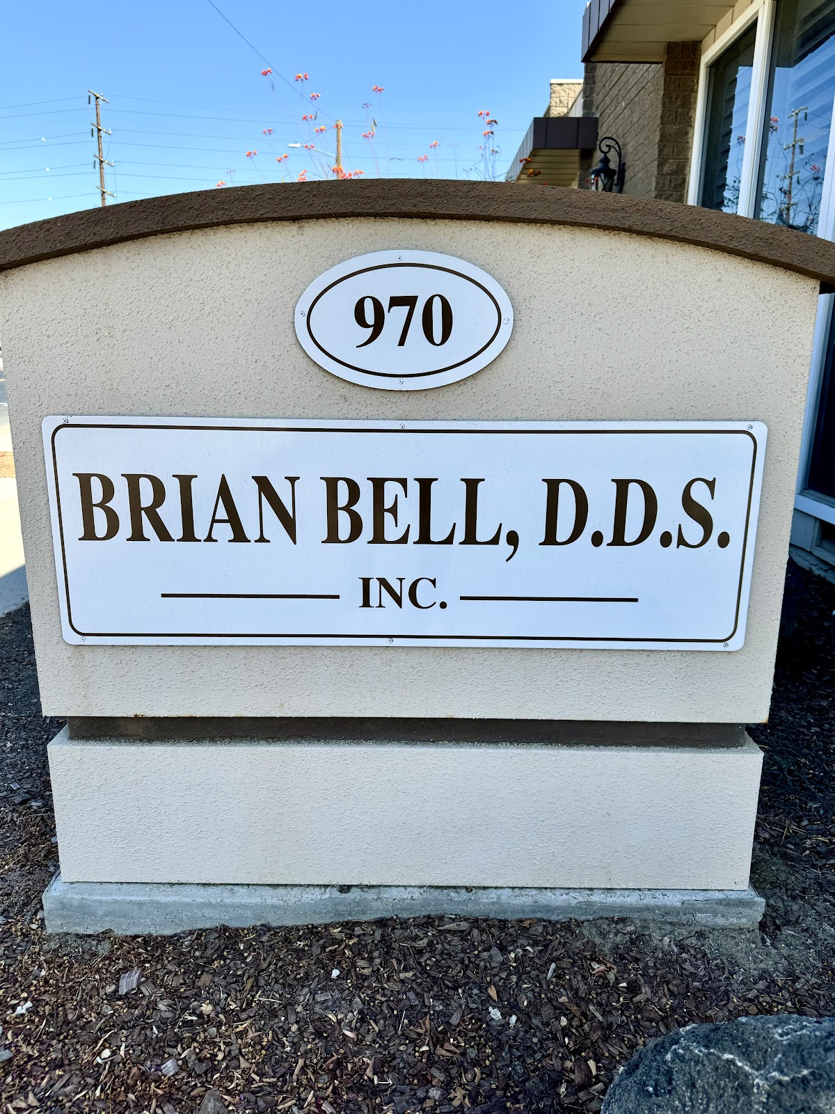 Brian Bell, Dds photo 2