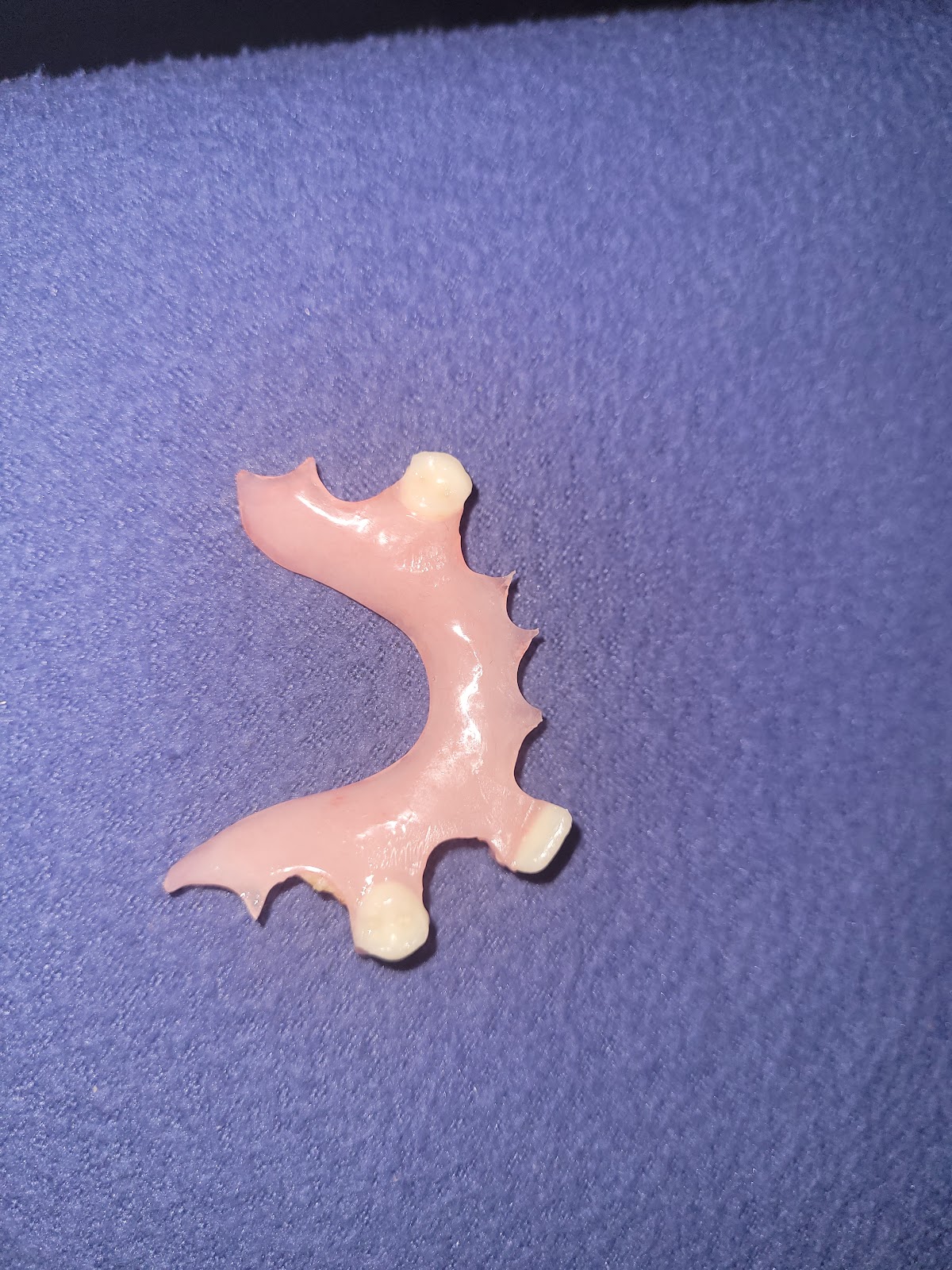 Affordable Dentures & Implants - Port Charlotte photo 5