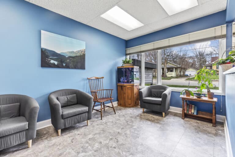 Bender Dental Care: Michael a Bender DDS Ltd photo 4