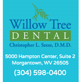 Willow Tree Dental, Christopher Seese, DDS photo 3