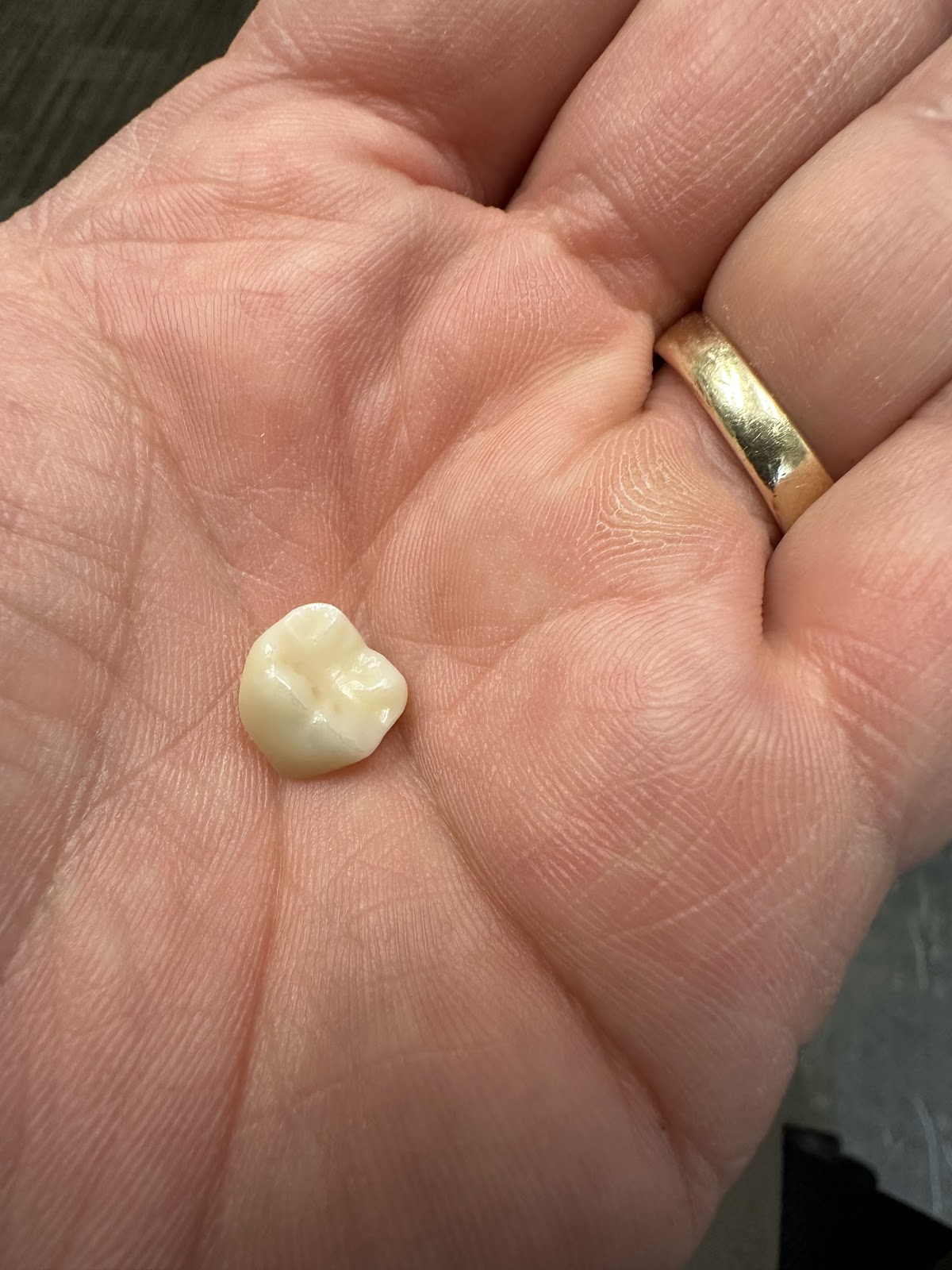 Lake Country Dental photo 4