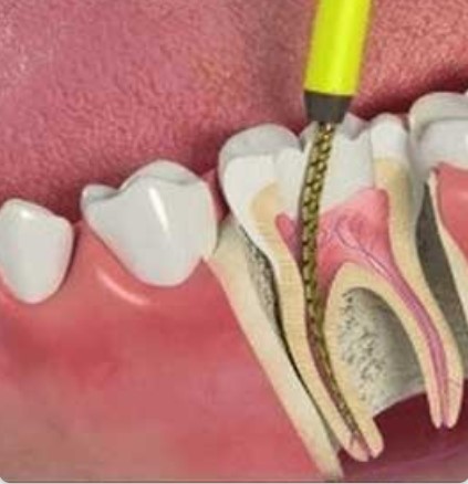 Madison Ave Dental photo 2