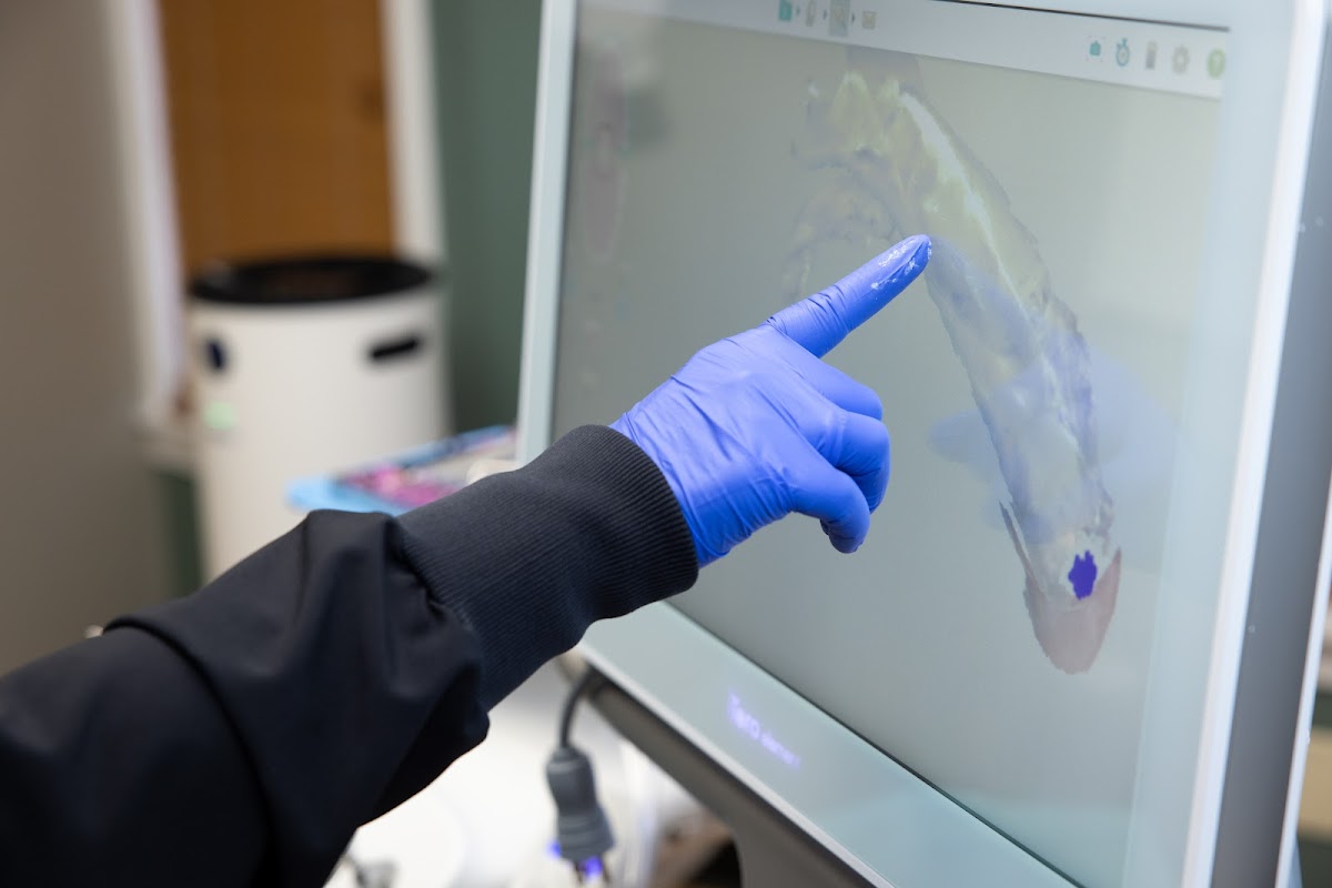 North End Dental Care: Christopher Moriarty, DMD - Manchester photo 6
