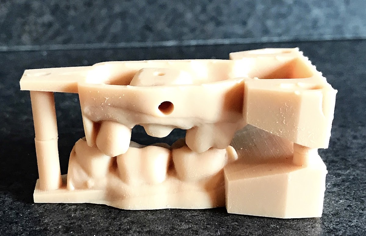 Miller Dental Implant Lab photo 5