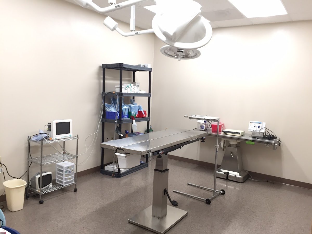 Advanced Veterinary Care photo 4