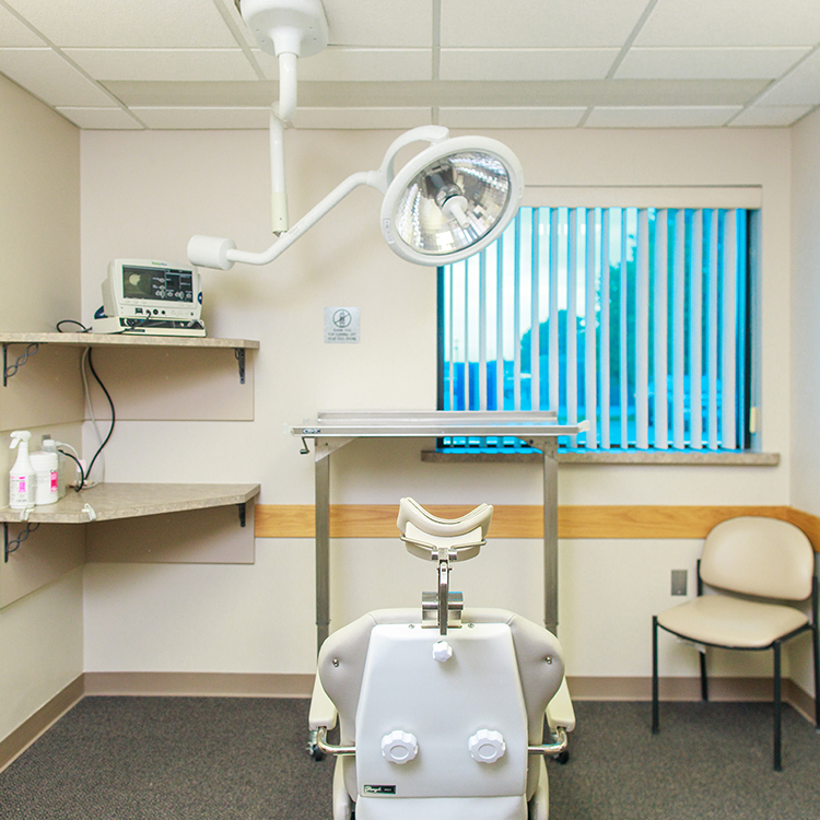 Midland Oral & Maxillofacial Surgery P.C. photo 2