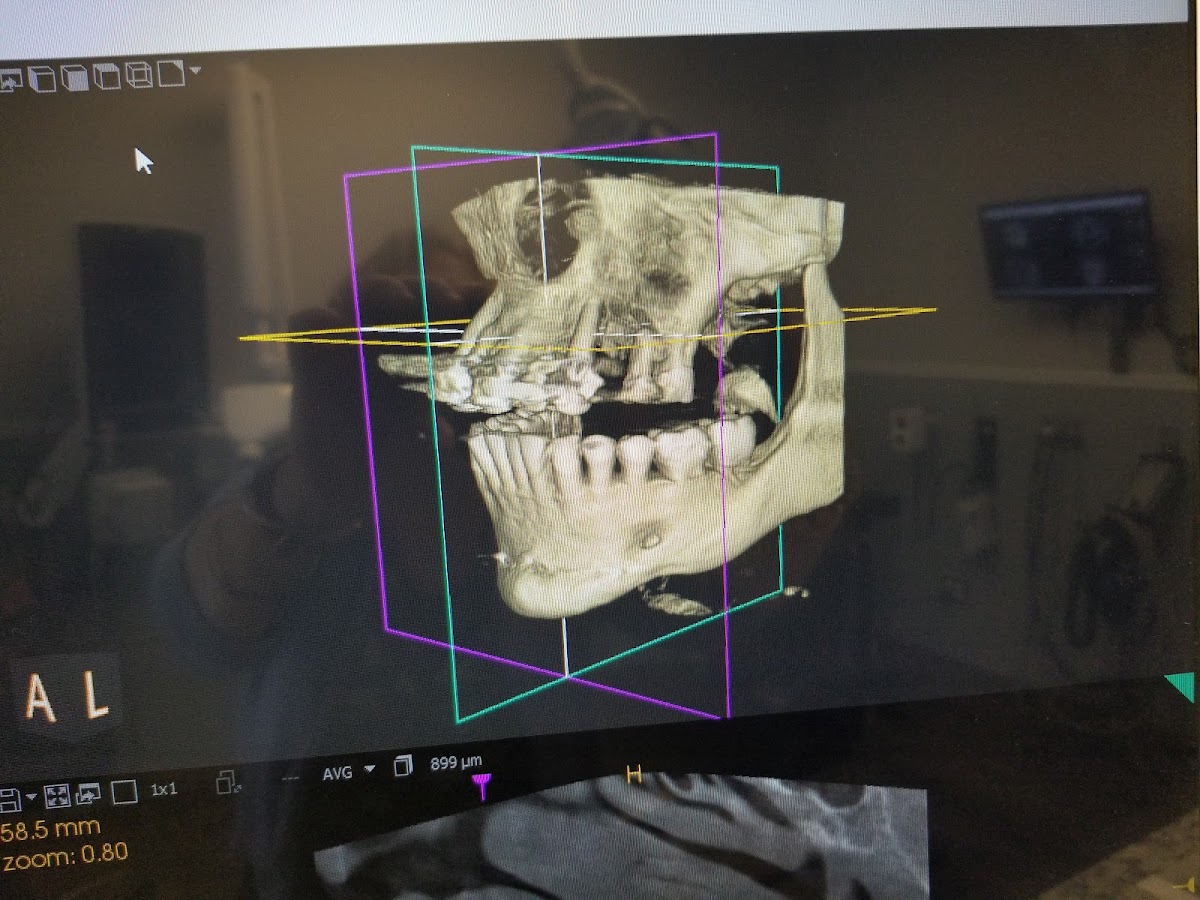 Superior Oral and Maxillofacial Surgery photo 4