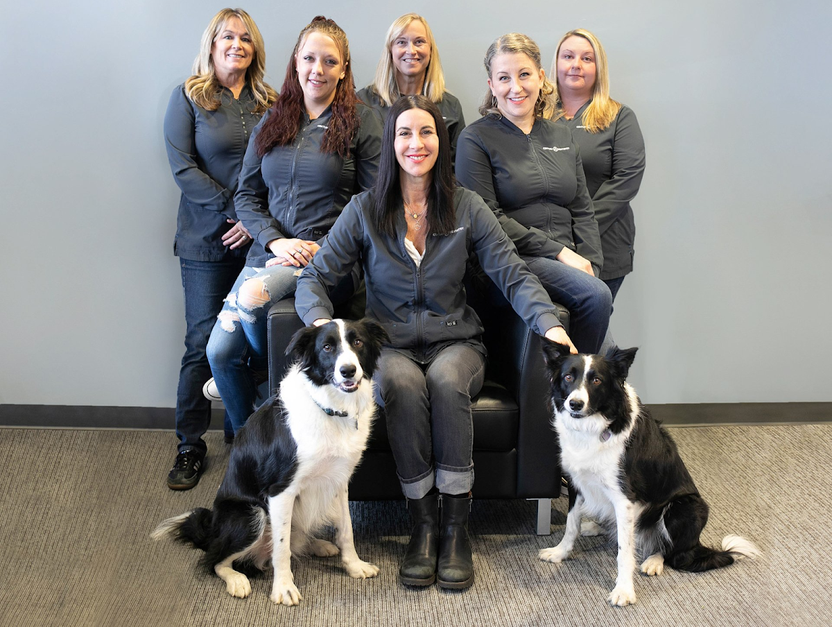 Century Dentistry photo 3