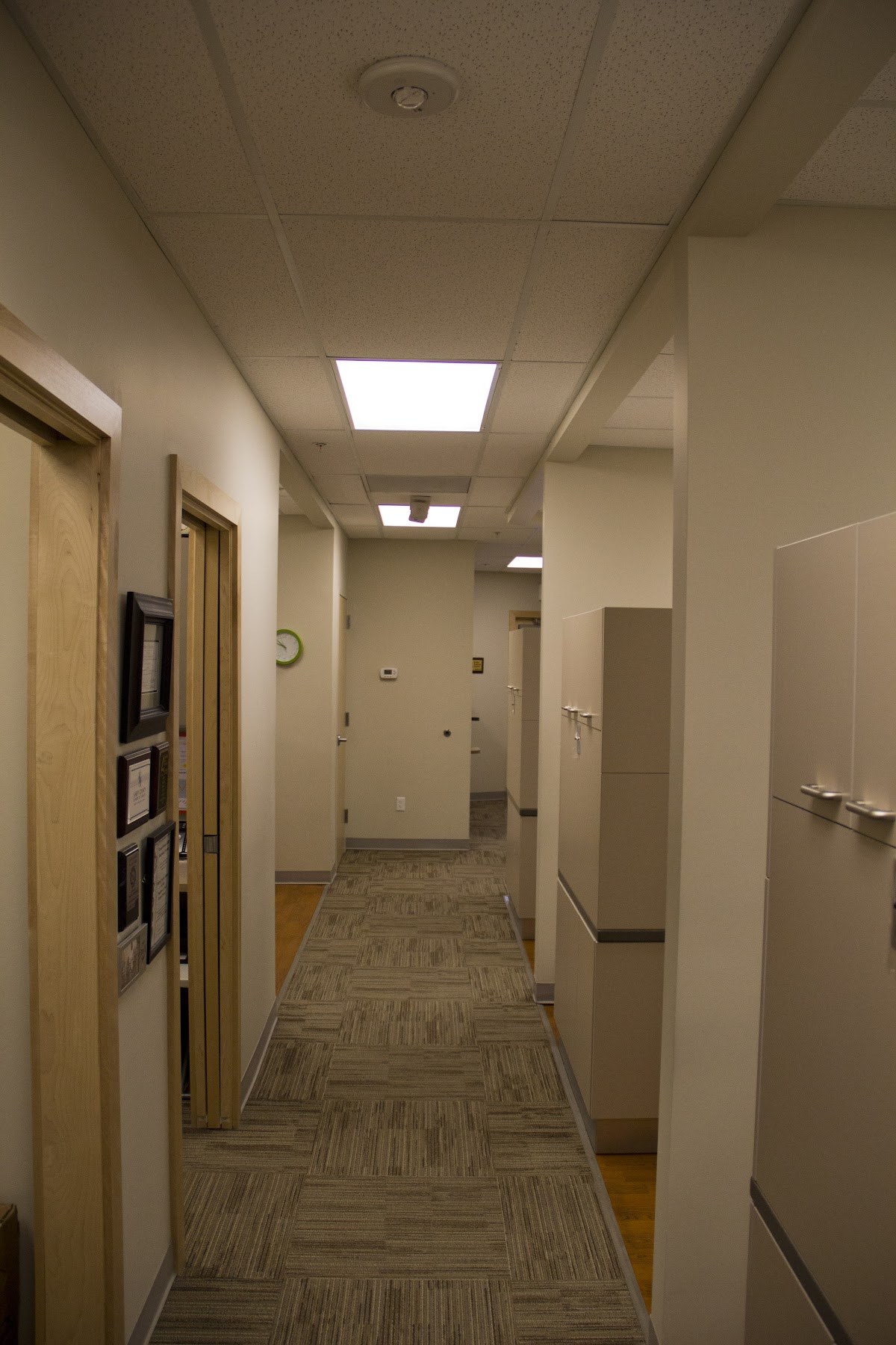 Willow Dental photo 2