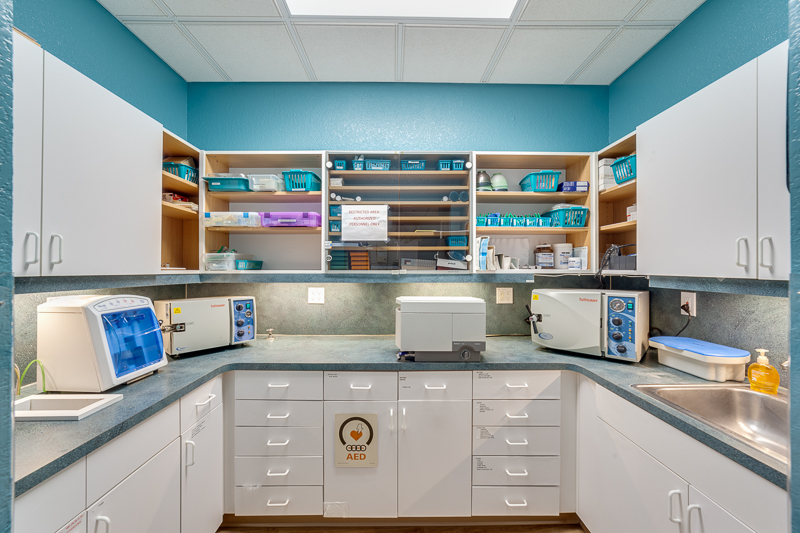 Dragonfly Dental of Port Charlotte photo 5