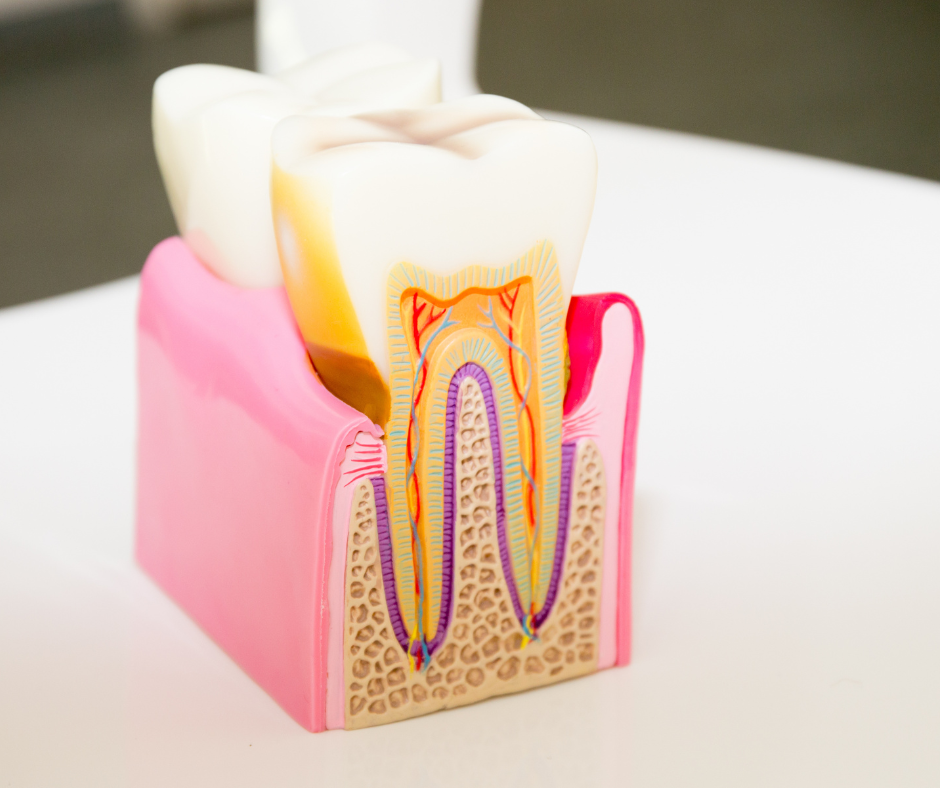 West River Dental photo 6