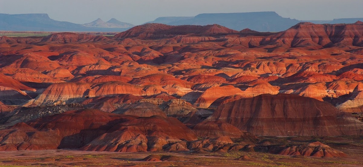 Southern Arizona Periodontics photo 1
