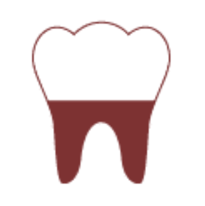 Thomas E. Condron, DDS photo 4