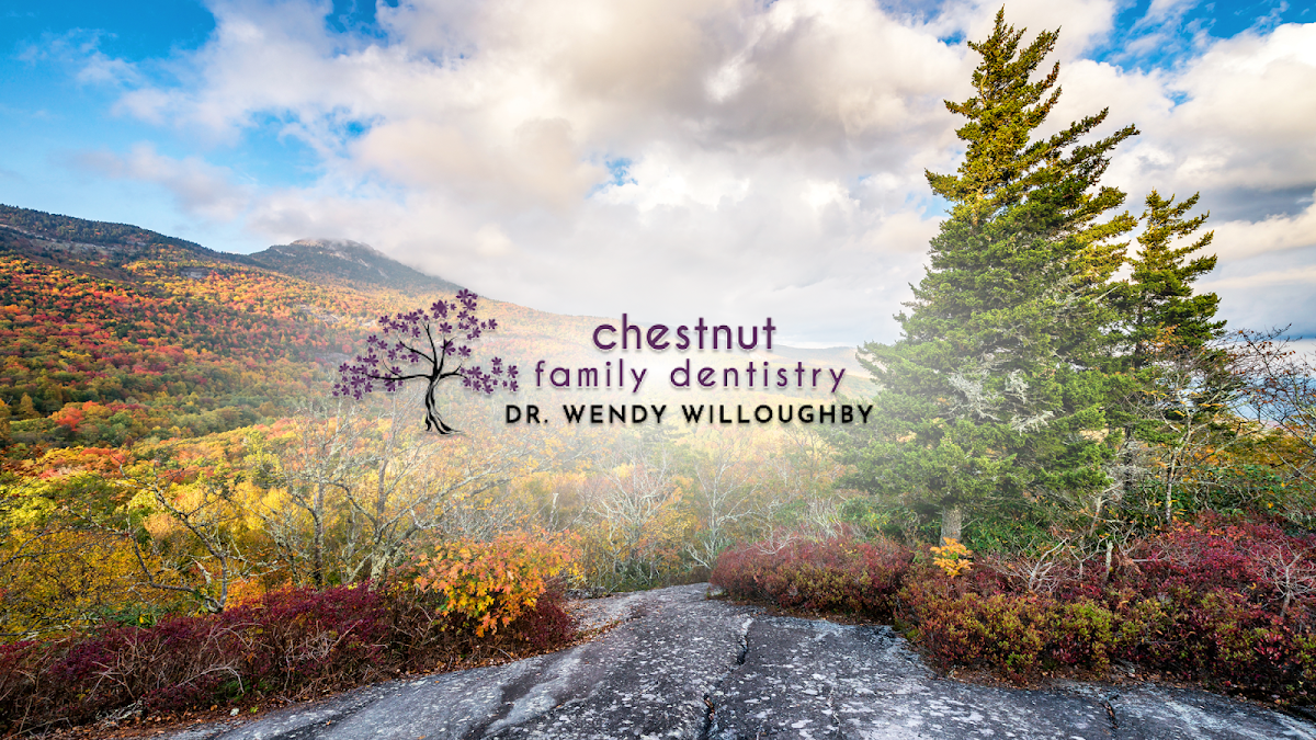 Chestnut Family Dentistry photo 2