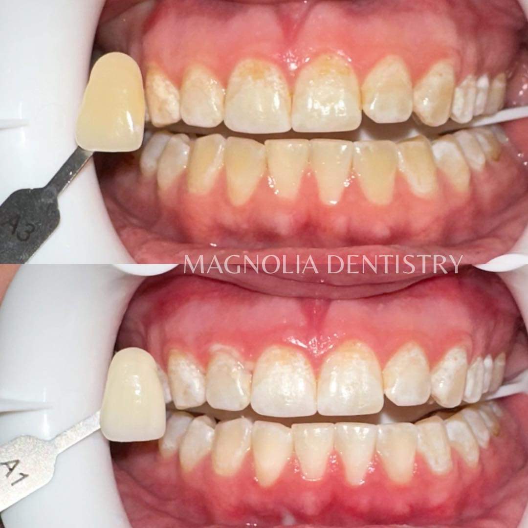 Magnolia Dentistry photo 6