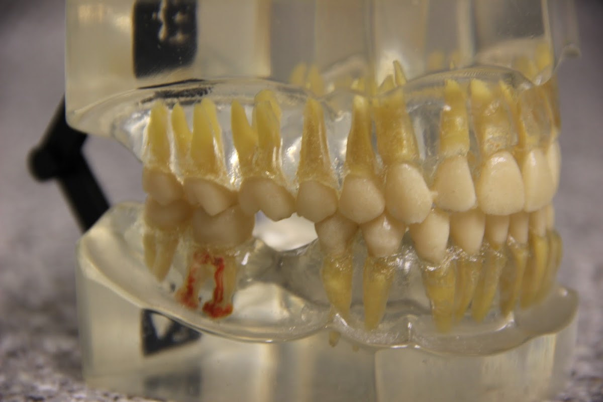 Optima Dental Surgery Center photo 6