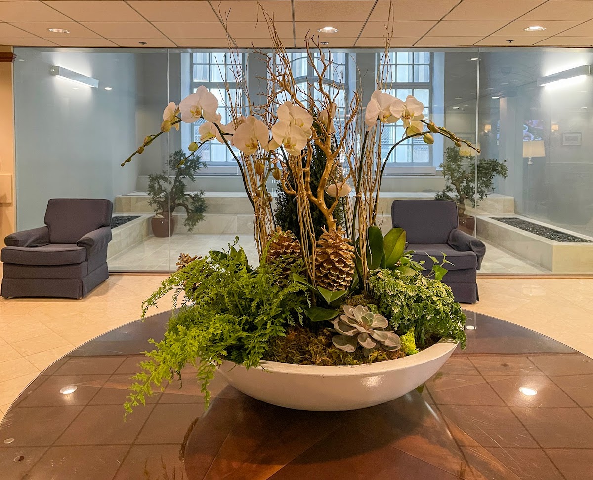 Boston Center for Oral Health photo 5