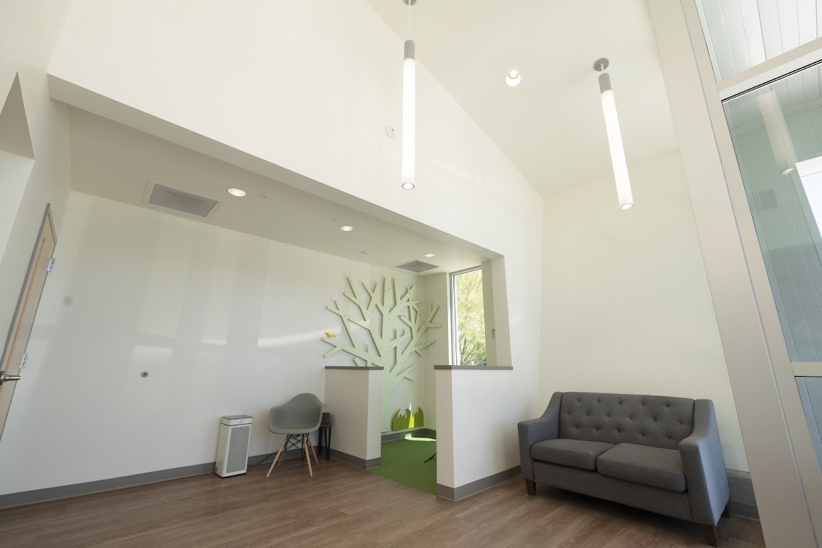 Painted Skies Dental Center photo 6