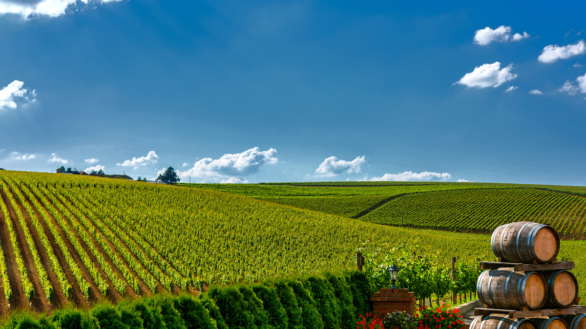 Shabaz Sandhu, Dds - Oral Surgery Associates Of Temecula Valley photo 1