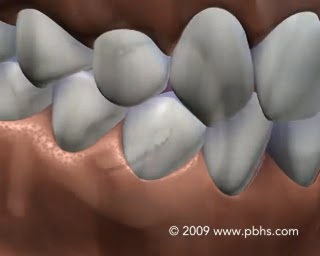 Autumn Ridge Dental photo 5