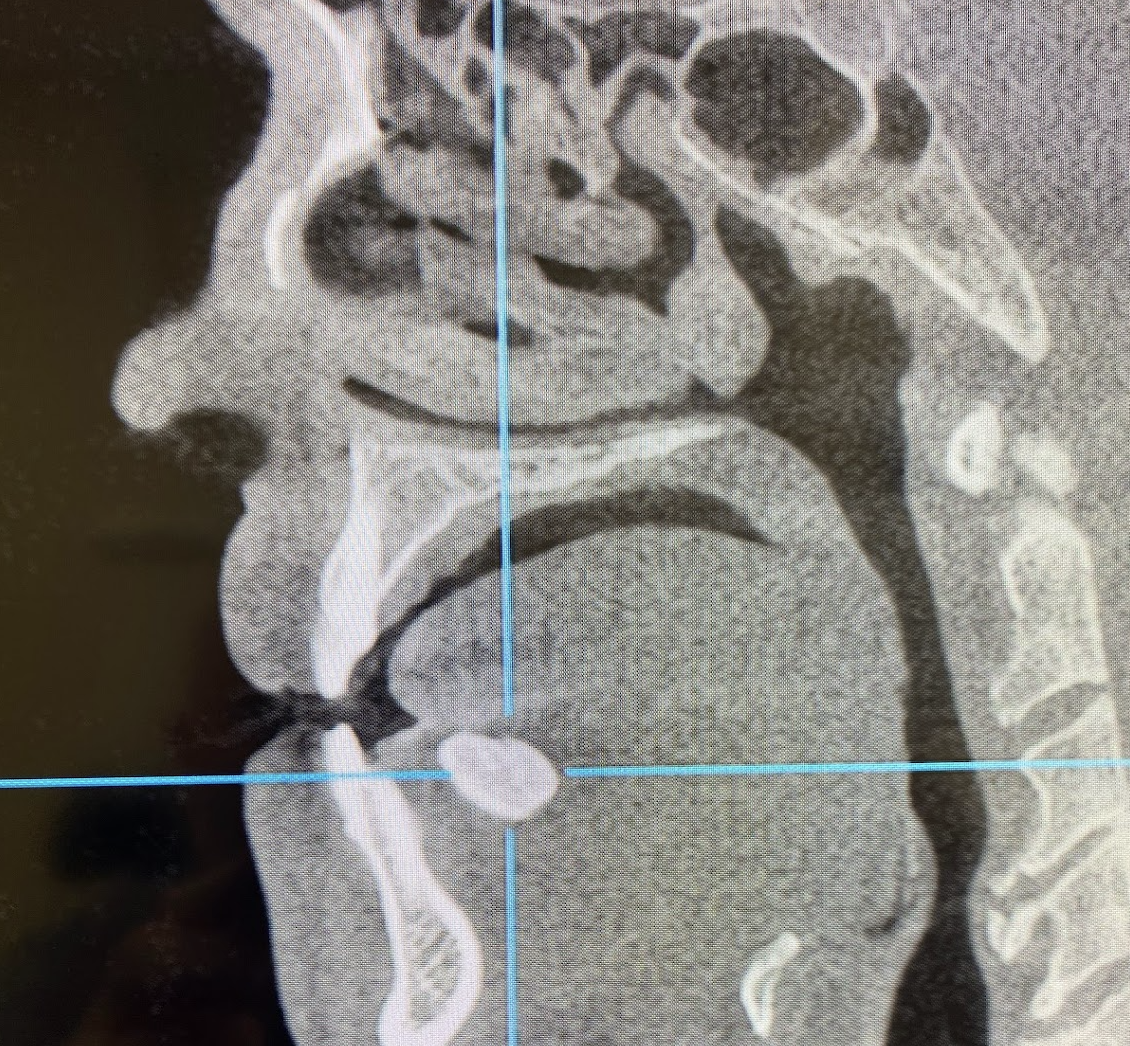 Phoenix Oral & Facial Surgery photo 4