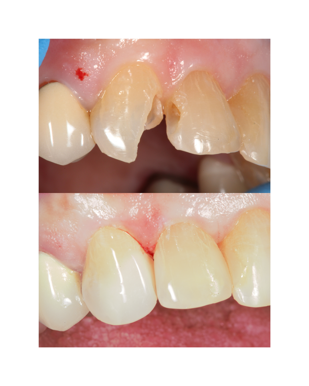 Santa Barbara Dental Spa photo 5