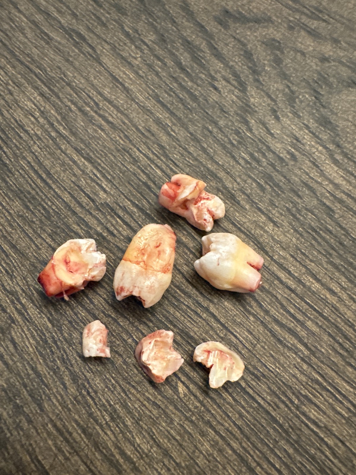 Lakeside Oral Surgery & Dental Implants photo 4