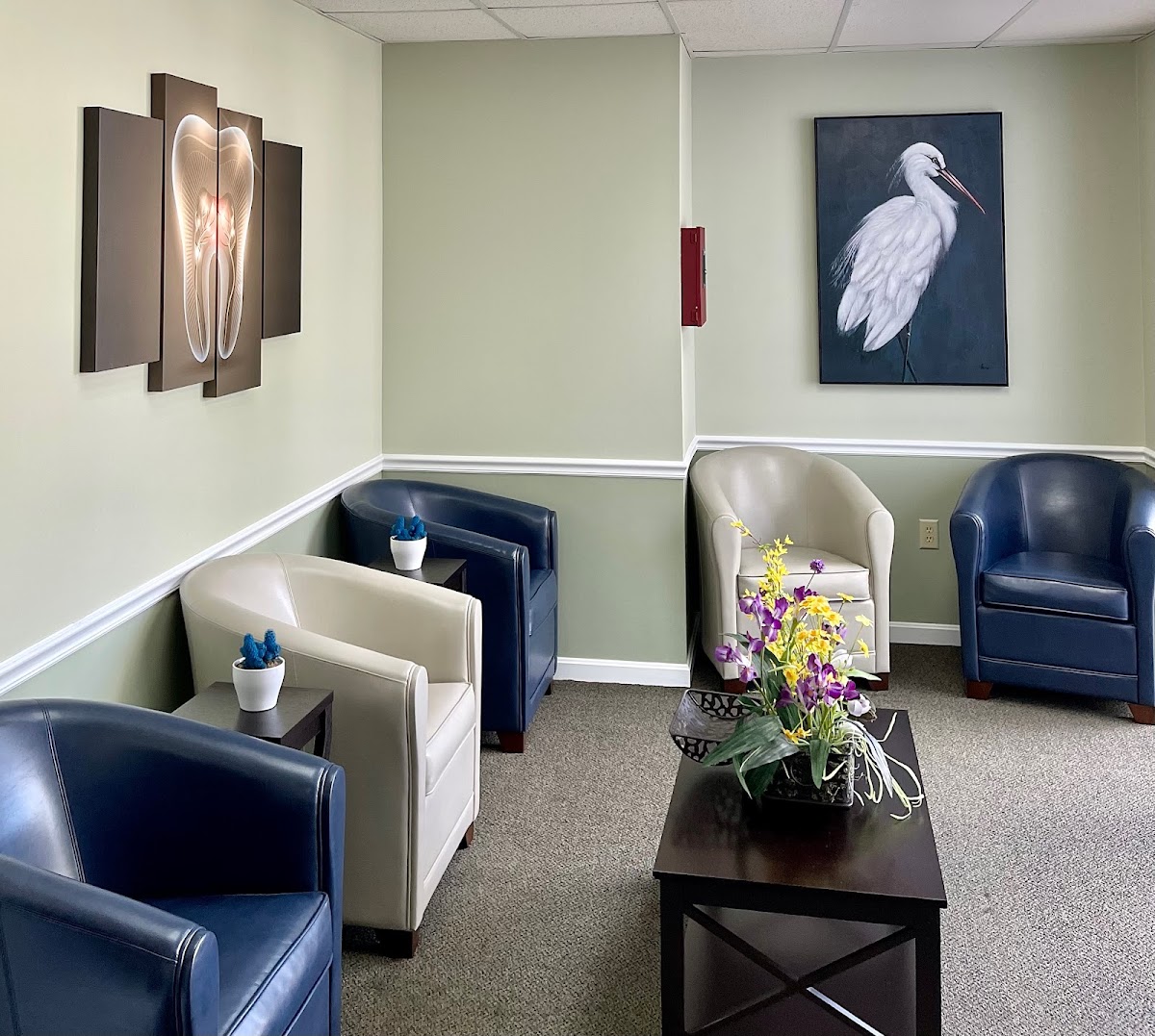 Advanced Aesthetic Dentistry photo 1