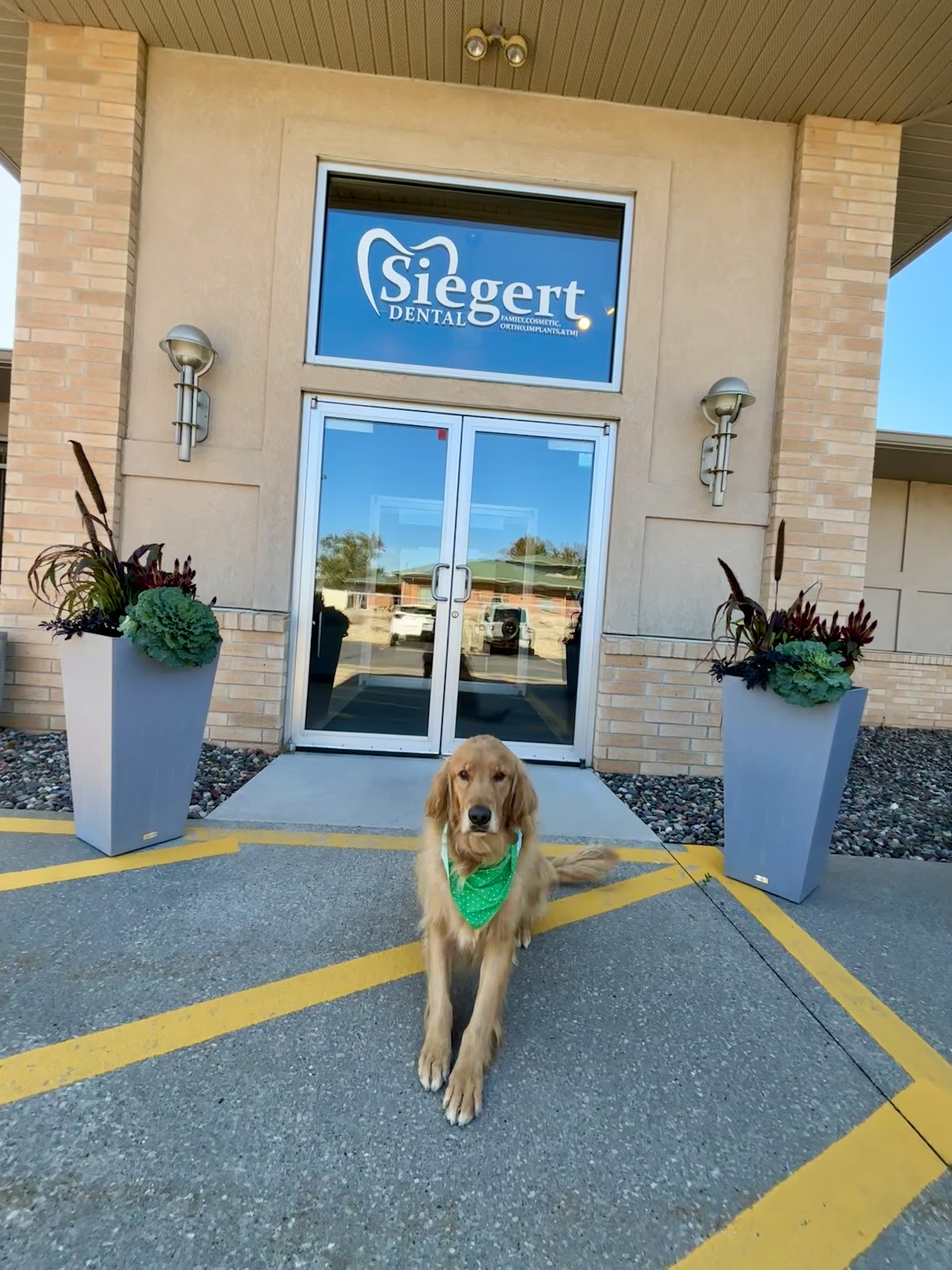 Siegert Dental photo 5