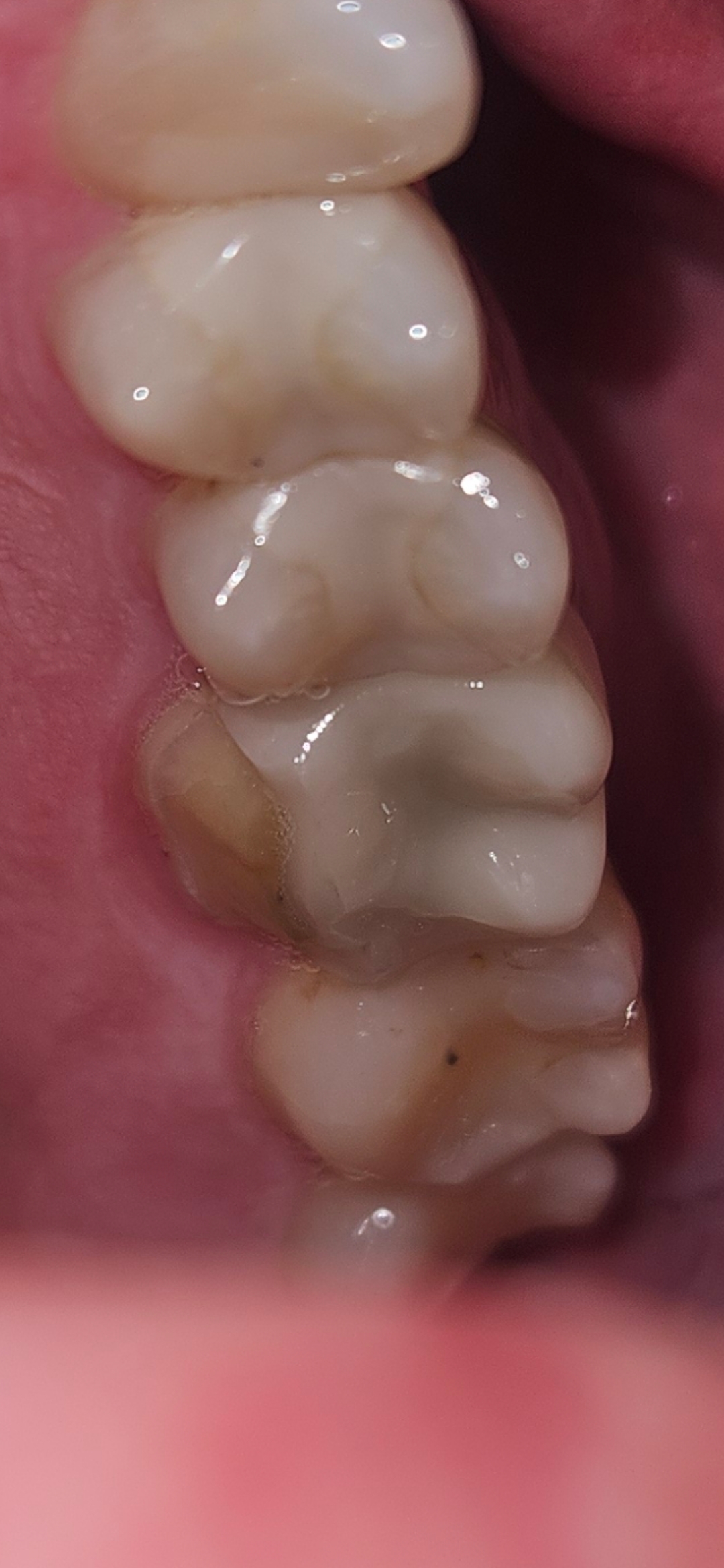 Williams Family Dental photo 2