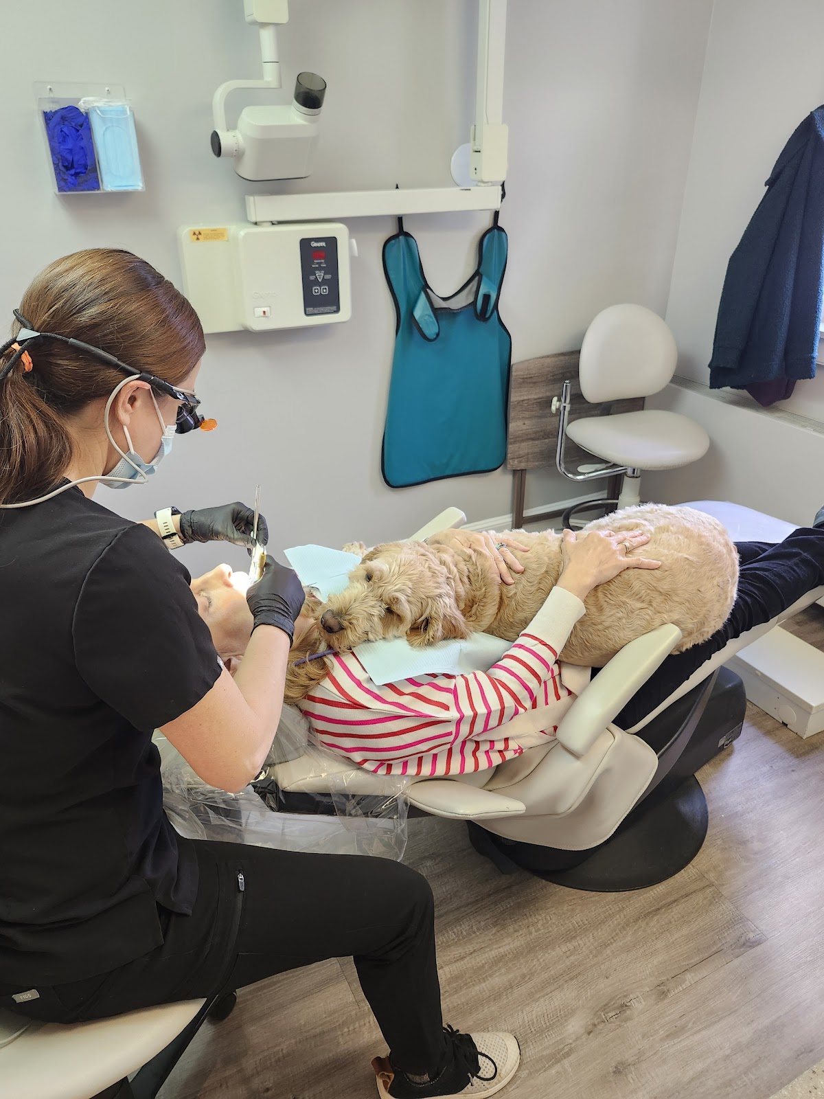 Archer Dental photo 1