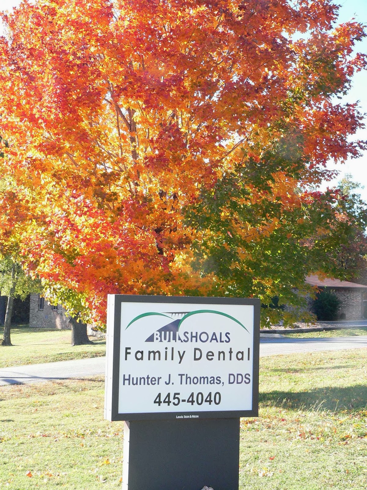 Bull Shoals Family Dental photo 1