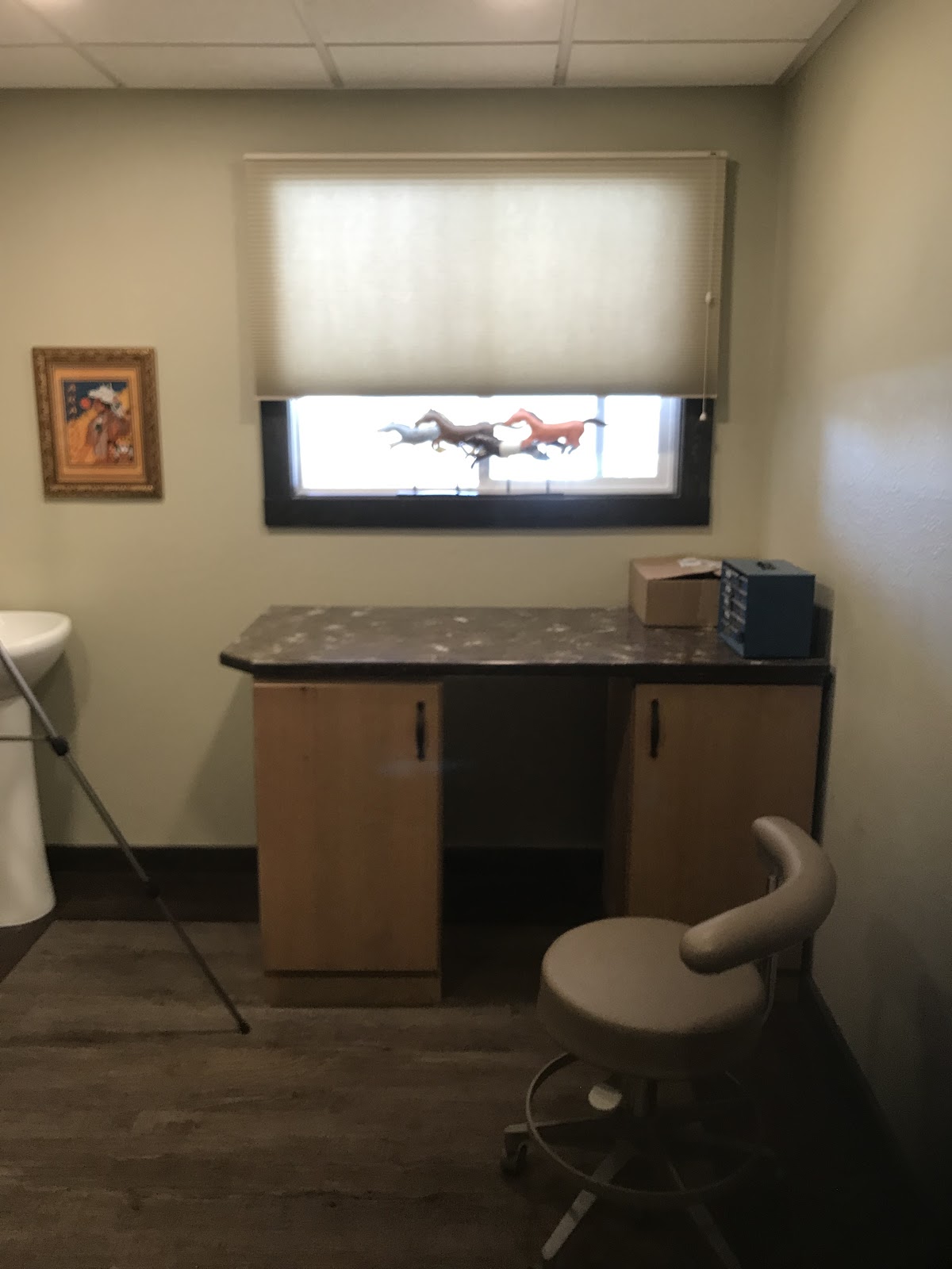 Dentures & Dental Care of Lander photo 4