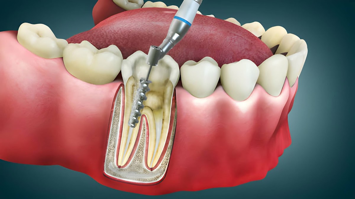 Lynn Haven Dental Specialists photo 1