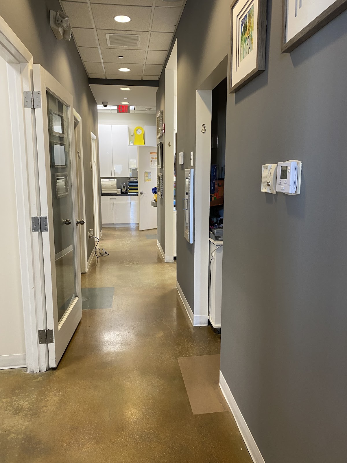 Ilya Freyberg DDS PA photo 4
