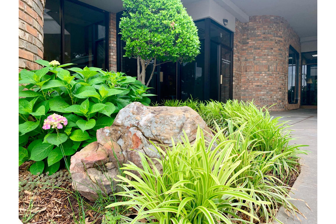 Richard A. Urbanek Jr. Dds, Ms, Pa photo 1