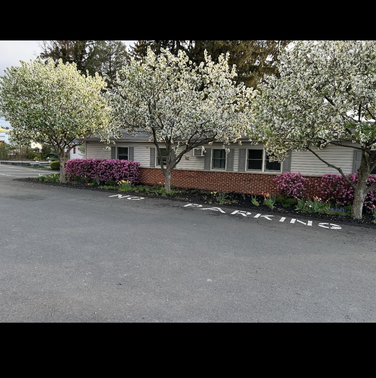 Keystone Dental Center photo 5