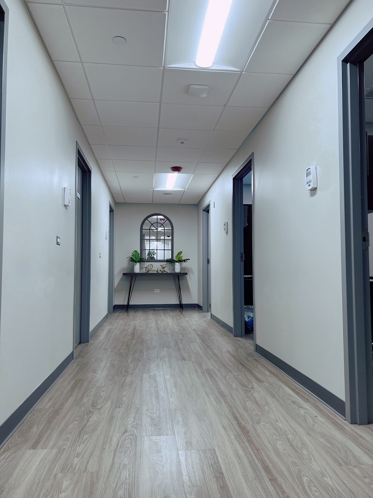 Grand Dentistry Loop photo 5