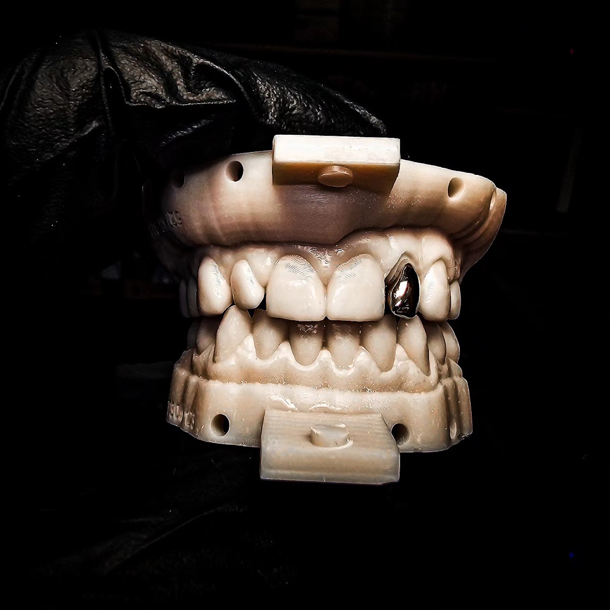 Montana Dental Designs - Dr. Tim Mathews photo 1