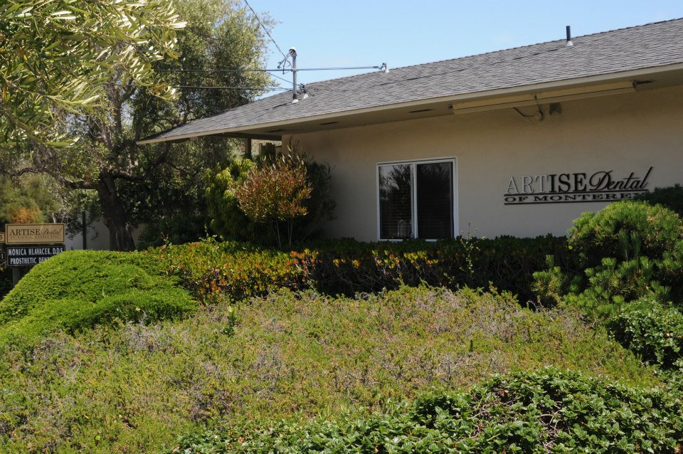 Artise Dental photo 1