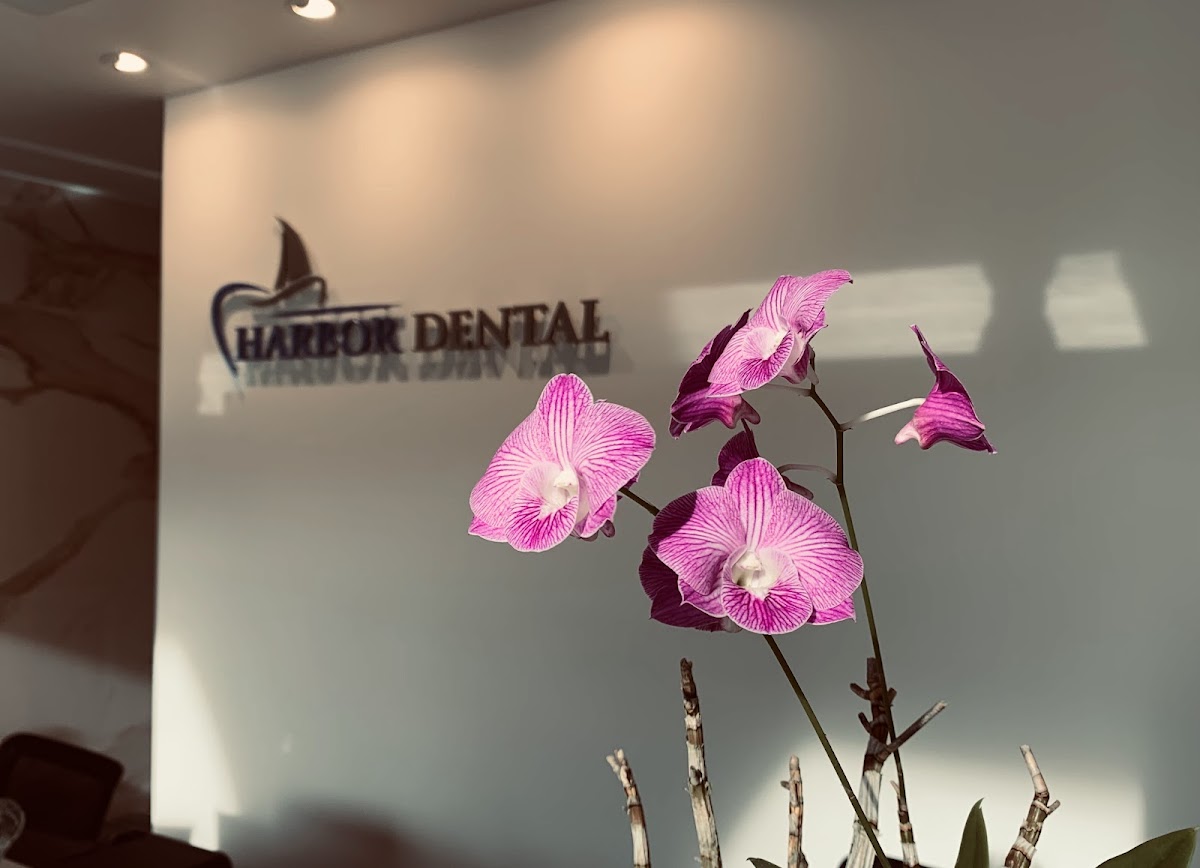 Harbor Dental photo 3
